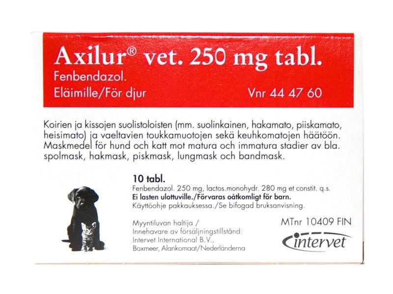 Kuva AXILUR 250 mg 10 vet tablettia