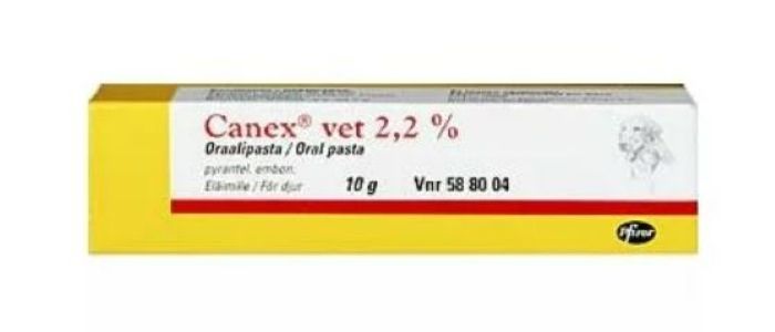 Canex vet 2.2 % 10 g oraalipasta