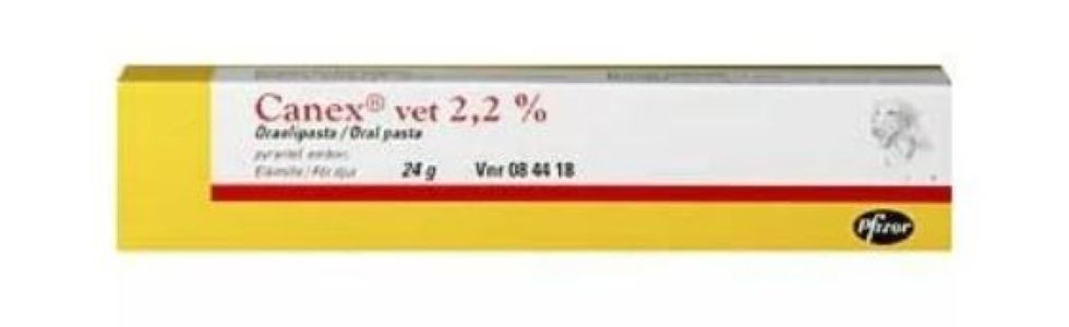 Canex vet 2.2 % 24 g oraalipasta