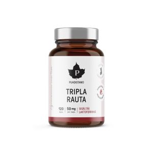 Puhdistamo Tripla Rauta 120 kaps