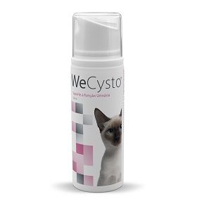 WeCysto oraaligeeli 100 ml